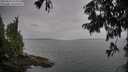 ./images/koeye/fitz-hugh/20250814/fitz-hugh20250814_125011M.jpg