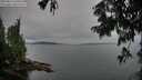 ./images/koeye/fitz-hugh/20250814/fitz-hugh20250814_140511M.jpg