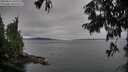 ./images/koeye/fitz-hugh/20250814/fitz-hugh20250814_141511M.jpg