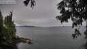 ./images/koeye/fitz-hugh/20250814/fitz-hugh20250814_142508M.jpg