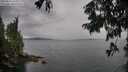 ./images/koeye/fitz-hugh/20250814/fitz-hugh20250814_144512M.jpg