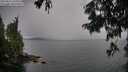 ./images/koeye/fitz-hugh/20250814/fitz-hugh20250814_145017M.jpg