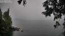 ./images/koeye/fitz-hugh/20250814/fitz-hugh20250814_150510M.jpg