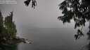 ./images/koeye/fitz-hugh/20250814/fitz-hugh20250814_151010M.jpg