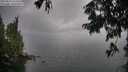 ./images/koeye/fitz-hugh/20250814/fitz-hugh20250814_152510M.jpg