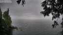 ./images/koeye/fitz-hugh/20250814/fitz-hugh20250814_153512M.jpg