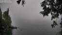 ./images/koeye/fitz-hugh/20250814/fitz-hugh20250814_154011M.jpg