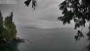 ./images/koeye/fitz-hugh/20250814/fitz-hugh20250814_155510M.jpg