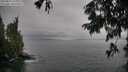 ./images/koeye/fitz-hugh/20250814/fitz-hugh20250814_160010M.jpg