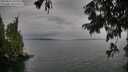 ./images/koeye/fitz-hugh/20250814/fitz-hugh20250814_162509M.jpg