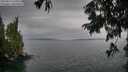 ./images/koeye/fitz-hugh/20250814/fitz-hugh20250814_163011M.jpg