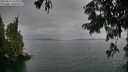 ./images/koeye/fitz-hugh/20250814/fitz-hugh20250814_163510M.jpg