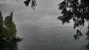 ./images/koeye/fitz-hugh/20250814/fitz-hugh20250814_164509M.jpg