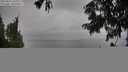 ./images/koeye/fitz-hugh/20250814/fitz-hugh20250814_170011M.jpg