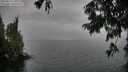 ./images/koeye/fitz-hugh/20250814/fitz-hugh20250814_170506M.jpg