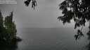./images/koeye/fitz-hugh/20250814/fitz-hugh20250814_171011M.jpg