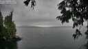 ./images/koeye/fitz-hugh/20250814/fitz-hugh20250814_174011M.jpg