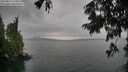 ./images/koeye/fitz-hugh/20250814/fitz-hugh20250814_174511M.jpg