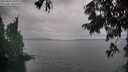 ./images/koeye/fitz-hugh/20250814/fitz-hugh20250814_181511M.jpg