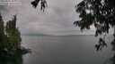 ./images/koeye/fitz-hugh/20250814/fitz-hugh20250814_183011M.jpg