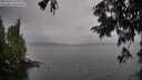 ./images/koeye/fitz-hugh/20250814/fitz-hugh20250814_190009M.jpg