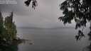 ./images/koeye/fitz-hugh/20250814/fitz-hugh20250814_191009M.jpg
