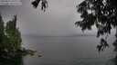 ./images/koeye/fitz-hugh/20250814/fitz-hugh20250814_191508M.jpg