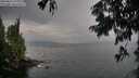 ./images/koeye/fitz-hugh/20250814/fitz-hugh20250814_193009M.jpg