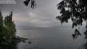 ./images/koeye/fitz-hugh/20250814/fitz-hugh20250814_193508M.jpg