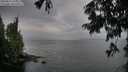 ./images/koeye/fitz-hugh/20250814/fitz-hugh20250814_194009M.jpg
