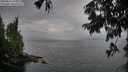./images/koeye/fitz-hugh/20250814/fitz-hugh20250814_195008M.jpg