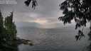 ./images/koeye/fitz-hugh/20250814/fitz-hugh20250814_200508M.jpg