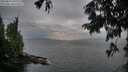./images/koeye/fitz-hugh/20250814/fitz-hugh20250814_202509M.jpg