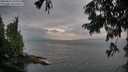 ./images/koeye/fitz-hugh/20250814/fitz-hugh20250814_203509M.jpg