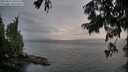 ./images/koeye/fitz-hugh/20250814/fitz-hugh20250814_204509M.jpg
