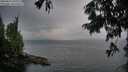 ./images/koeye/fitz-hugh/20250814/fitz-hugh20250814_205509M.jpg