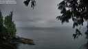 ./images/koeye/fitz-hugh/20250814/fitz-hugh20250814_210508M.jpg