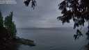 ./images/koeye/fitz-hugh/20250814/fitz-hugh20250814_211509M.jpg