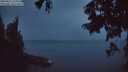 ./images/koeye/fitz-hugh/20250814/fitz-hugh20250814_213508M.jpg
