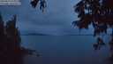 ./images/koeye/fitz-hugh/20250815/fitz-hugh20250815_055009M.jpg