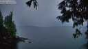 ./images/koeye/fitz-hugh/20250815/fitz-hugh20250815_060510M.jpg