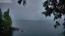 ./images/koeye/fitz-hugh/20250815/fitz-hugh20250815_061509M.jpg