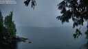 ./images/koeye/fitz-hugh/20250815/fitz-hugh20250815_062011M.jpg