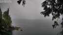 ./images/koeye/fitz-hugh/20250815/fitz-hugh20250815_064509M.jpg