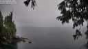 ./images/koeye/fitz-hugh/20250815/fitz-hugh20250815_065011M.jpg