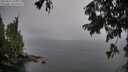 ./images/koeye/fitz-hugh/20250815/fitz-hugh20250815_065510M.jpg