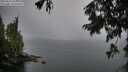 ./images/koeye/fitz-hugh/20250815/fitz-hugh20250815_070011M.jpg