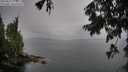 ./images/koeye/fitz-hugh/20250815/fitz-hugh20250815_073011M.jpg