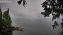 ./images/koeye/fitz-hugh/20250815/fitz-hugh20250815_073509M.jpg