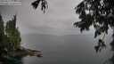 ./images/koeye/fitz-hugh/20250815/fitz-hugh20250815_074011M.jpg